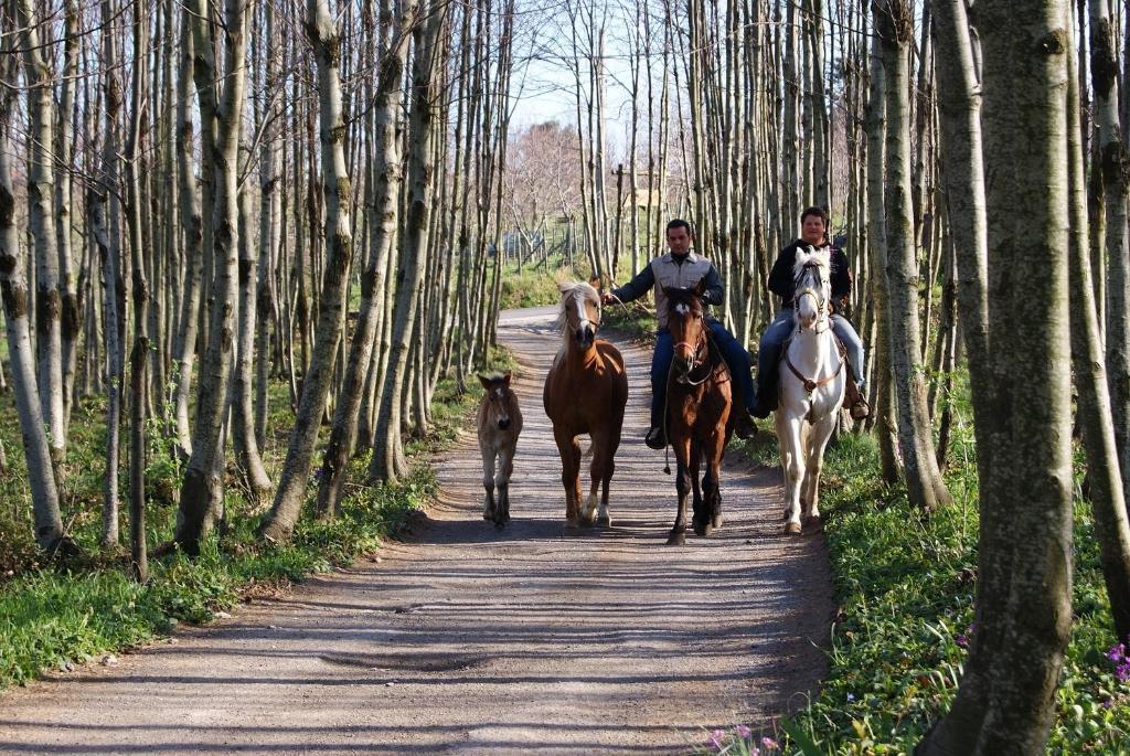 Agriturismo Sentiero Dei Sapori Guest House Agerola Ngoại thất bức ảnh